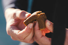 PERFORMANCE BAR