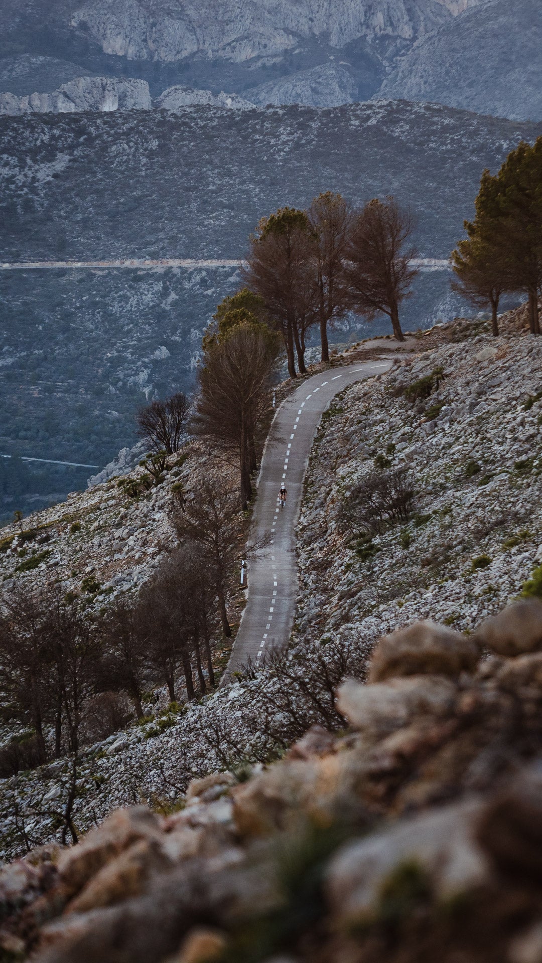 Athletin in der Abfahrt mit dem Rennrad auf einer Bergstraße 